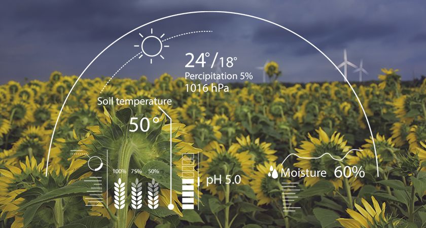 Role of AI in Agriculture in India